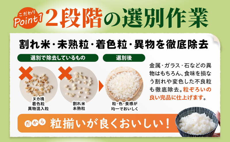 【2～7営業日以内に発送予定】国産ブレンド米 「米一膳」5kg お米 米 ご飯 ごはん 主食 炭水化物 精米_M181-006-01-7E