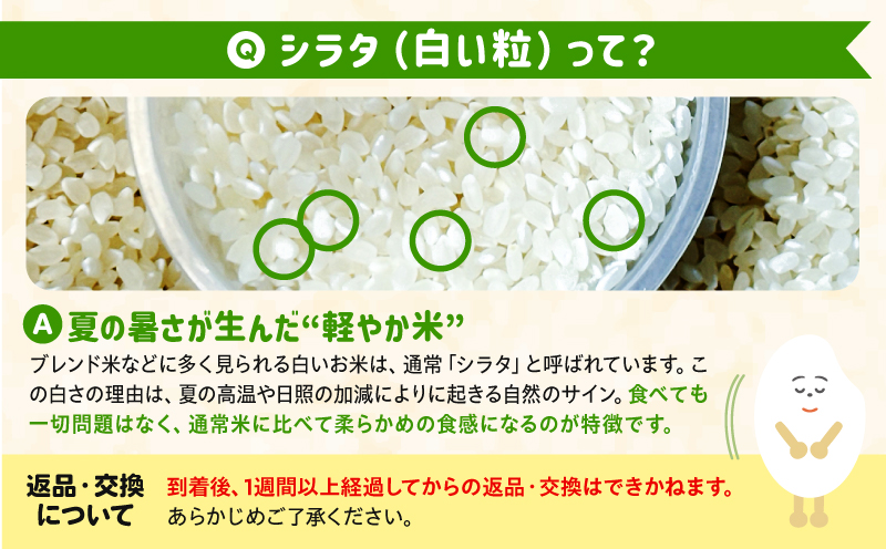 【2～7営業日以内に発送予定】国産ブレンド米 「米一膳」5kg お米 米 ご飯 ごはん 主食 炭水化物 精米_M181-006-01-7E