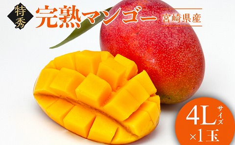 【2026年発送先行予約】《数量・期間限定》完熟！宮崎マンゴー 特秀 大玉4Lサイズ約600g 1玉化粧箱入り_M183-001_01