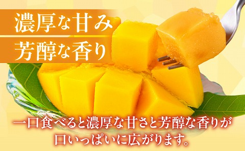 【2026年発送先行予約】《数量・期間限定》完熟！宮崎マンゴー 特秀 大玉3Lサイズ 2玉化粧箱入り 国産 マンゴー 特秀品 2玉 化粧箱 化粧箱入り 完熟 大玉 3L 冷蔵 フルーツ 果物 旬の果物 くだもの 特産品 お取り寄せ 贈答 ギフト_M183-002_01