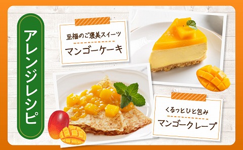 【2026年発送先行予約】《数量・期間限定》完熟！宮崎マンゴー 特秀 大玉3Lサイズ 2玉化粧箱入り 国産 マンゴー 特秀品 2玉 化粧箱 化粧箱入り 完熟 大玉 3L 冷蔵 フルーツ 果物 旬の果物 くだもの 特産品 お取り寄せ 贈答 ギフト_M183-002_01