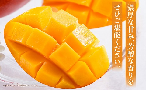 【2026年発送先行予約】《数量・期間限定》完熟！宮崎マンゴー 特秀 大玉3Lサイズ 2玉化粧箱入り 国産 マンゴー 特秀品 2玉 化粧箱 化粧箱入り 完熟 大玉 3L 冷蔵 フルーツ 果物 旬の果物 くだもの 特産品 お取り寄せ 贈答 ギフト_M183-002_01