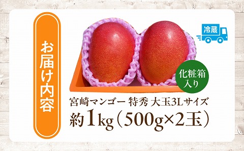 【2026年発送先行予約】《数量・期間限定》完熟！宮崎マンゴー 特秀 大玉3Lサイズ 2玉化粧箱入り 国産 マンゴー 特秀品 2玉 化粧箱 化粧箱入り 完熟 大玉 3L 冷蔵 フルーツ 果物 旬の果物 くだもの 特産品 お取り寄せ 贈答 ギフト_M183-002_01