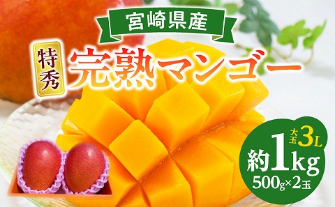 【2026年発送先行予約】《数量・期間限定》完熟！宮崎マンゴー 特秀 大玉3Lサイズ 2玉化粧箱入り_M183-002_01