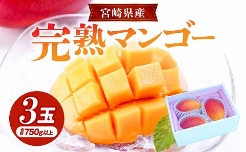 《2026年発送先行予約》【数量・期間限定】宮崎県産 完熟マンゴ－ 3玉 果実 完熟 フルーツ_M184-002_02