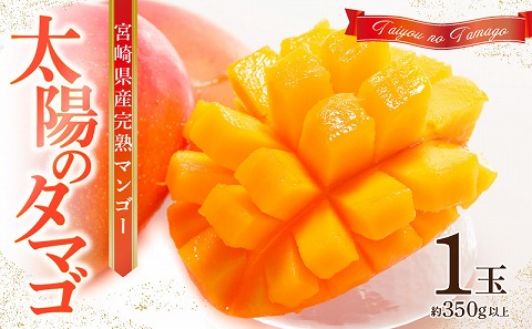 《2026年発送先行予約》【数量・期間限定】宮崎県産 太陽のタマゴ 1玉_M184-003_02