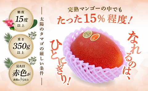 《2025年発送先行予約》【期間・数量限定】宮崎県産 太陽のタマゴ 1玉_M184-003_02