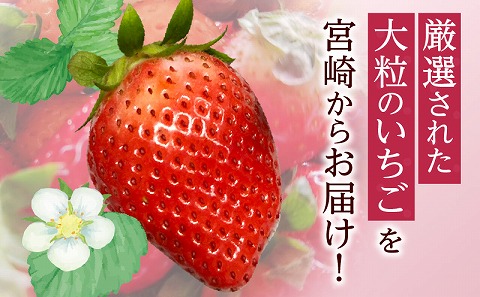 《2025年発送先行予約》【期間・数量限定】宮崎市産 いちご みつひめ スタンダード 4パック_M209-002