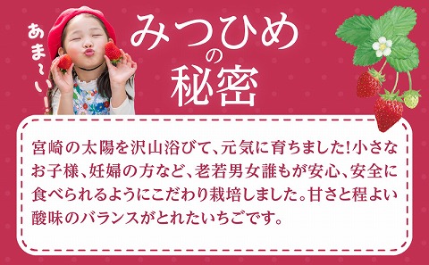 《2025年発送先行予約》【期間・数量限定】宮崎市産 いちご みつひめ スタンダード 4パック_M209-002