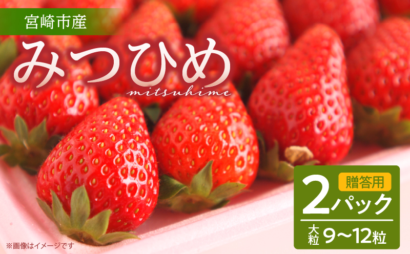 《2026年発送》【数量・期間限定】【贈答用】宮崎市産いちご みつひめ 2パック｜いちご 苺 イチゴ 果物 フルーツ プレゼント ギフト｜_M209-001