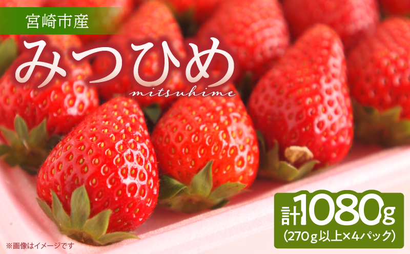 《2026年発送》【数量・期間限定】宮崎市産いちご みつひめ スタンダード 4パック｜いちご 苺 イチゴ 果物 フルーツ 大粒｜_M209-002