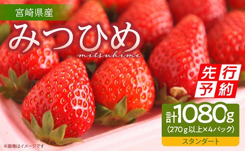 《2025年発送先行予約》【期間・数量限定】宮崎市産 いちご みつひめ スタンダード 4パック_M209-002