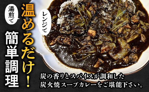 炭香る宮崎県産若どり炭火焼スープカレー【190g×10袋 計1.9kg】_M210-009