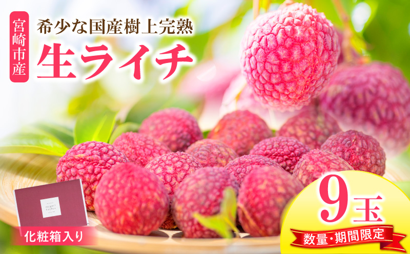 《2026年発送 先行予約》【数量・期間限定】宮崎市産生ライチ 9玉(1玉40g以上) フルーツ 果物 ライチ_M215-003-01