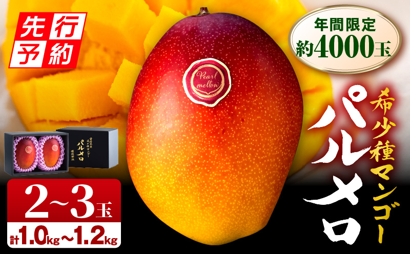 《2026年発送先行予約》【期間・数量限定】宮崎県産 希少種マンゴー パルメロ 計 約1.0kg～1.2kg 2～3玉入り_M223-001