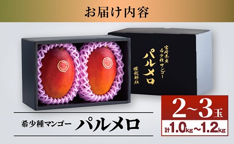 【先行予約】《2025年発送》期間・数量限定 宮崎県産 希少種マンゴー パルメロ 計 約1.0kg～1.2kg 2～3玉入り_M223-001