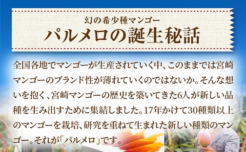 【先行予約】《2025年発送》期間・数量限定 宮崎県産 希少種マンゴー パルメロ 計 約1.0kg～1.2kg 2～3玉入り_M223-001