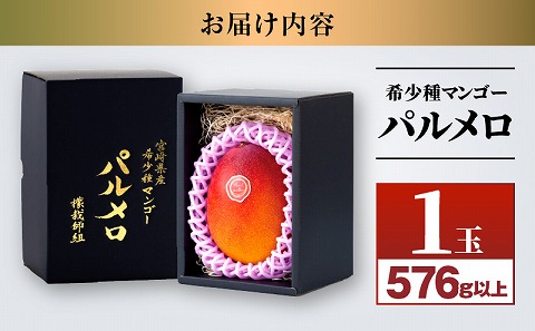 【先行予約】《2025年発送》期間・数量限定 宮崎県産希少種マンゴーパルメロ　計576g以上　1玉入り_M223-003