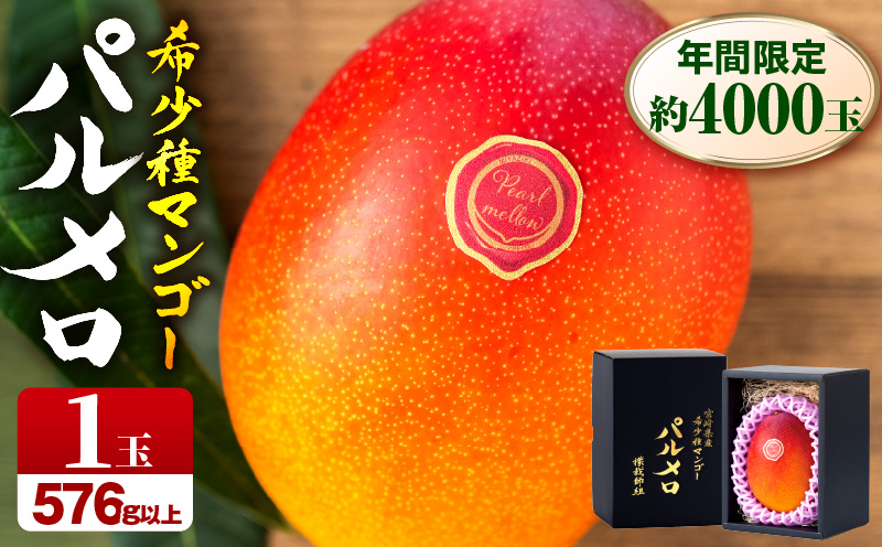 《2026年発送先行予約》【期間・数量限定】宮崎県産希少種マンゴーパルメロ　計576g以上　1玉入り_M223-003