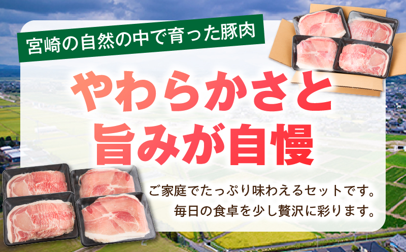 螳ョ蟠守恁逕」雎2kg 縺願ゥヲ縺励そ繝繝 雎 雎夊i 雎夊か繝ュ繝シ繧ケ 雎壹Ο繝シ繧ケ 繝「繝「 繧ケ繝ゥ繧、繧ケ 縺励c縺カ縺励c縺カ 縺カ縺溯i 轤偵a迚ゥ 蜀キ蜃 雎壽ア\M241-021-01