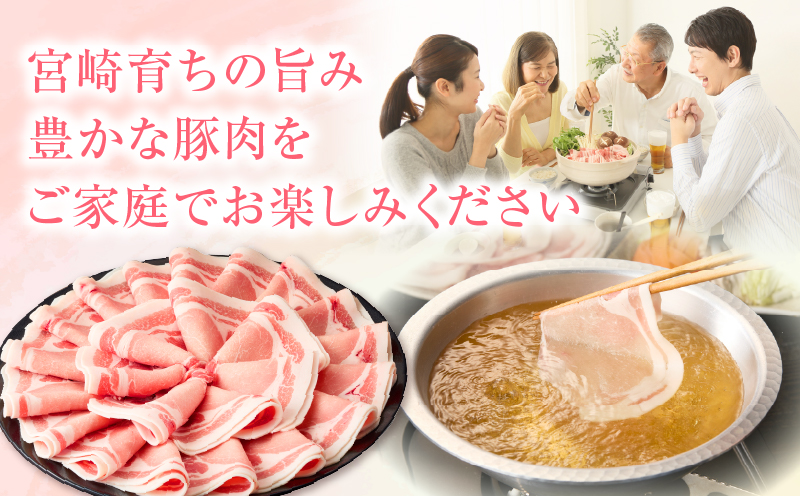 宮崎県産豚4.75kg 満載Cセット 豚 豚肉 豚肩ロース 豚ロース モモ ウデ スライス 切り落とし ミンチ しゃぶしゃぶ ぶた肉 炒め物 冷凍 豚汁_M241-021-04