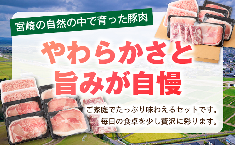 宮崎県産豚4.5kg 満載Aセット 豚 豚肉 豚肩ロース 豚ロース モモ ウデ スライス 切り落とし ミンチ しゃぶしゃぶ ぶた肉 炒め物 冷凍 豚汁_M241-021-02