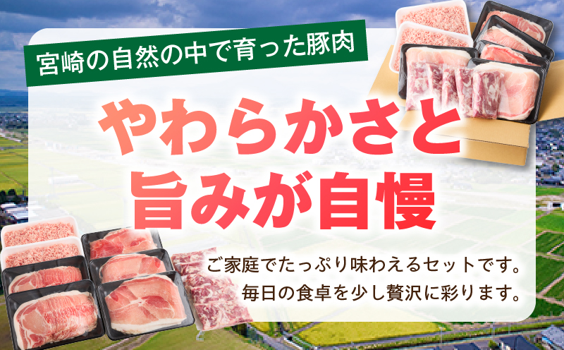 宮崎県産豚4.75kg 満載Cセット 豚 豚肉 豚肩ロース 豚ロース モモ ウデ スライス 切り落とし ミンチ しゃぶしゃぶ ぶた肉 炒め物 冷凍 豚汁_M241-021-04