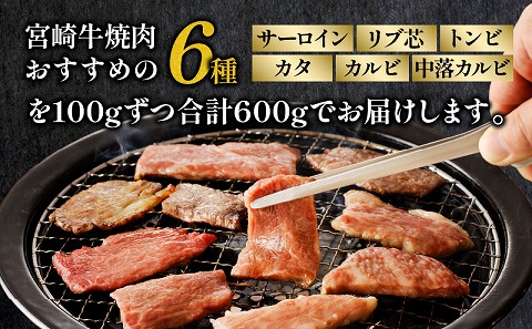 宮崎牛 焼肉食べ比べ6種盛 600g_M243-031|JALふるさと納税|JALのマイル