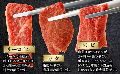 宮崎牛 焼肉食べ比べ6種盛 600g_M243-031|JALふるさと納税|JALのマイル