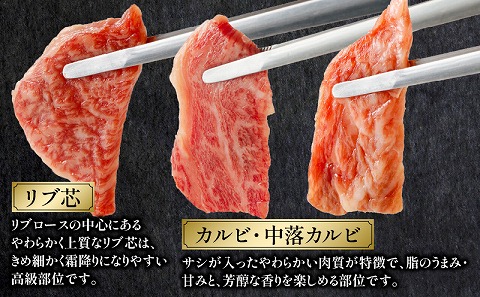 宮崎牛 焼肉食べ比べ6種盛 600g_M243-031|JALふるさと納税|JALのマイル