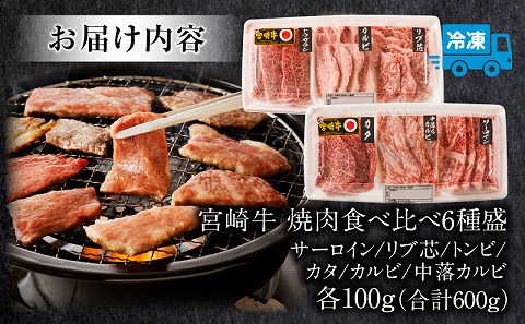 宮崎牛 焼肉食べ比べ6種盛 600g_M243-031|JALふるさと納税|JALのマイル