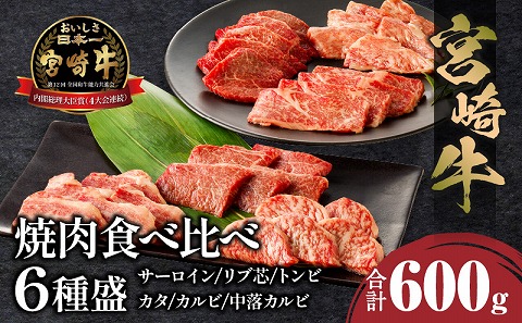 宮崎牛 焼肉食べ比べ6種盛 600g_M243-031|JALふるさと納税|JALのマイル