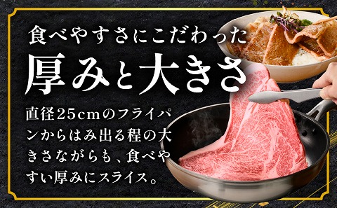 宮崎牛 サーロインステーキ 1枚 合計200g_M243-036