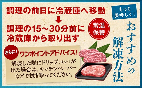 宮崎牛 サーロインステーキ 1枚 合計200g_M243-036
