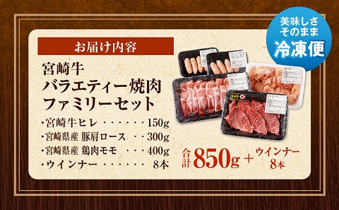 宮崎牛 バラエティー焼肉ファミリーセット_M243-038