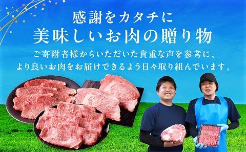 【定期便全3回】宮崎牛ステーキ食べ比べコース_M243-T007