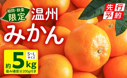 《2025年発送先行予約》【期間・数量限定】温州みかん5kg(傷み補償分200g付き)_M249-001-01