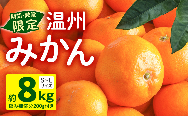 《2025年～2026年発送》【数量・期間限定】温州みかん8kg(傷み補償分200g付き)｜みかん 温州みかん ミカン 果物｜_M249-001-02
