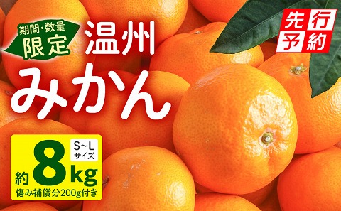 《2025年発送先行予約》【期間・数量限定】温州みかん8kg(傷み補償分200g付き)_M249-001-02