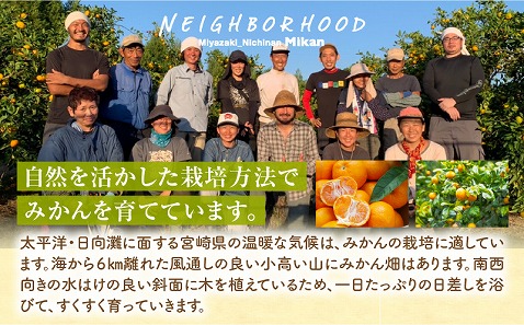 宮崎県産 まる搾りみかんジュース 1,000ml×3本_M249-002