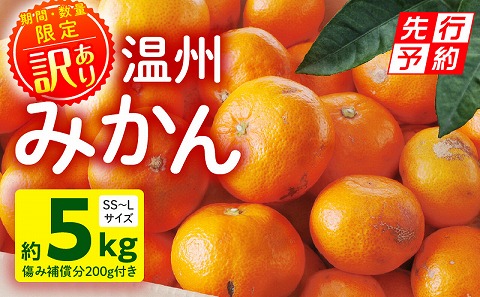 《2025年発送先行予約》【期間・数量限定】《訳あり》温州みかん5kg(傷み補償分200g付き)_M249-003-02
