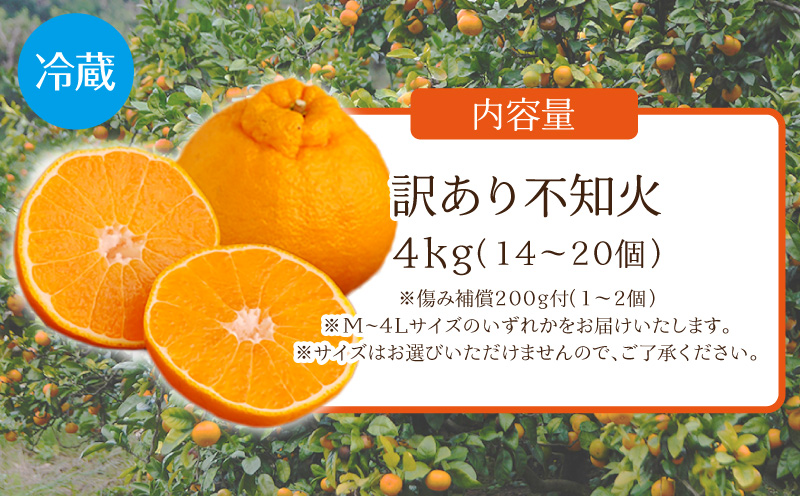 ã2026幎çºéããæ°éã»æééå®ãèš³ããäžç¥ç«4kg ã¿ãã æç© ææ©_M249-004-01