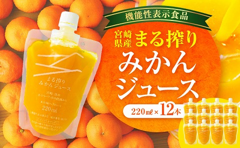 宮崎県産 まる搾りみかんジュース 220ml×12本_M249-008-02