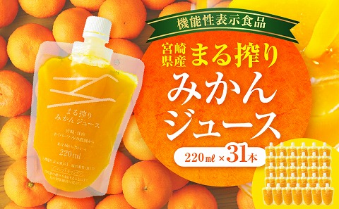 宮崎県産 まる搾りみかんジュース 220ml×31本_M249-008-03