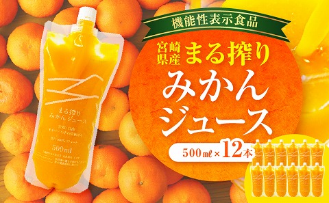 宮崎県産 まる搾りみかんジュース 500ml×12本_M249-009-02