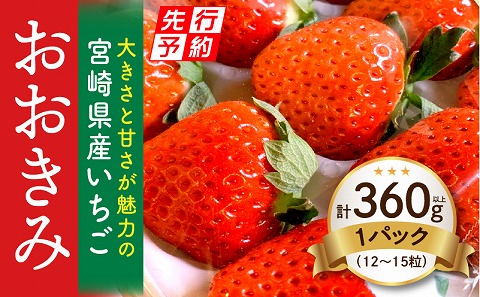 《2025年発送先行予約》【数量・期間限定】宮崎県産いちご「おおきみ」1パック(計360g以上：12粒～15粒)_M260-001