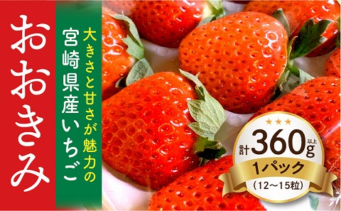 【数量・期間限定】宮崎県産いちご「おおきみ」1パック(計360g以上：12粒～15粒)_M260-001