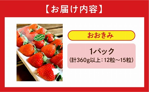 《2025年発送先行予約》【数量・期間限定】宮崎県産いちご「おおきみ」1パック(計360g以上：12粒～15粒)_M260-001