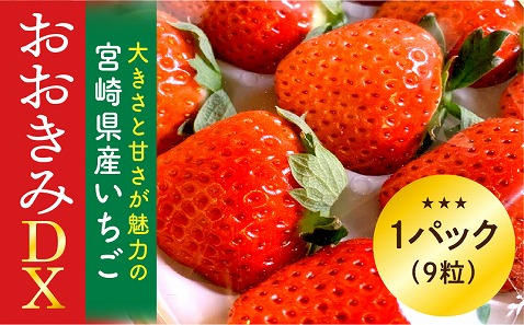 【数量・期間限定】宮崎県産いちご「おおきみDX」1パック（9粒）_M260-004