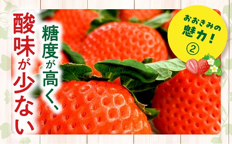 《2025年発送先行予約》【数量・期間限定】宮崎県産いちご「おおきみDX」2パック（18粒）_M260-005